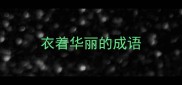 衣着华丽的成语