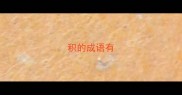 积的成语有