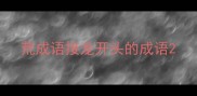 荒成语接龙开头的成语