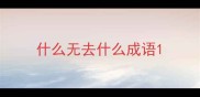 什么无去什么成语