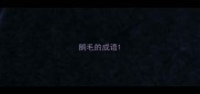 鹅毛的成语