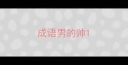 成语男的帅
