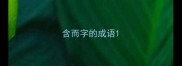 含而字的成语