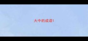 大中的成语