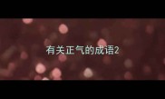 有关正气的成语