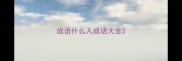 成语什么入成语大全