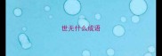 世无什么成语