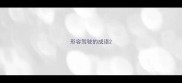 形容驾驶的成语
