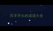 风字开头的成语大全