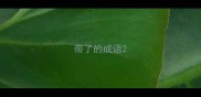 带了的成语