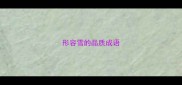 形容雪的品质成语