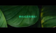 费的成语有哪些