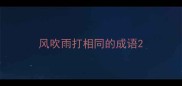 风吹雨打相同的成语