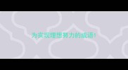 为实现理想努力的成语