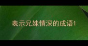 表示兄妹情深的成语