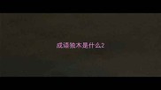 成语独木是什么