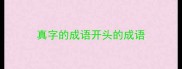 真字的成语开头的成语