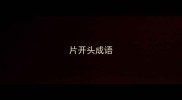 片开头成语