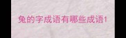 兔的字成语有哪些成语