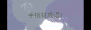 手棺材成语