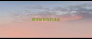 爱情被背叛的成语