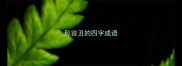 形容丑的四字成语