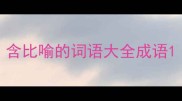 含比喻的词语大全成语