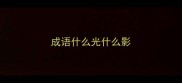 成语什么光什么影