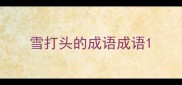 雪打头的成语成语