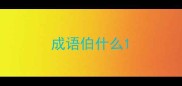 成语伯什么