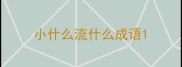 小什么流什么成语