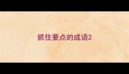 抓住要点的成语