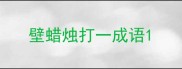 壁蜡烛打一成语