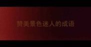 赞美景色迷人的成语