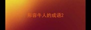 形容牛人的成语