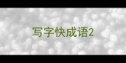 写字快成语