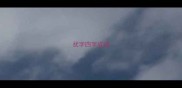 扰字四字成语