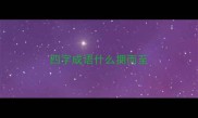 四字成语什么拥而至