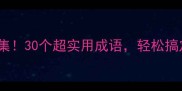 带体字的成语合集30个超实用成语轻松搞定写作和表达