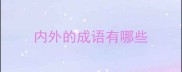 内外的成语有哪些