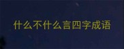 什么不什么言四字成语