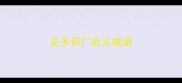 见多识广近义成语