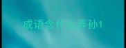 成语含什么弄孙