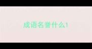 成语名誉什么