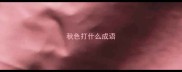 秋色打什么成语