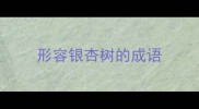 形容银杏树的成语