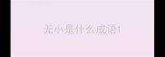 无小是什么成语