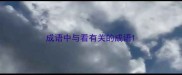 成语中与看有关的成语