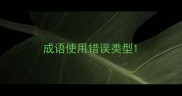 成语使用错误类型
