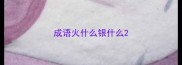 成语火什么银什么
